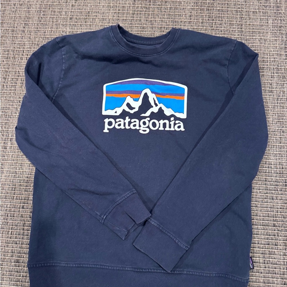 Patagonia Men's Regular Fit Blue Logo Sweatshirt